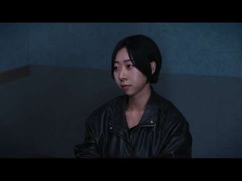 비디오 12