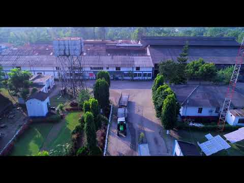 DamDim Tea Residency