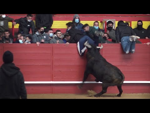 Valdemorillo 2022 Encierro del Sábado