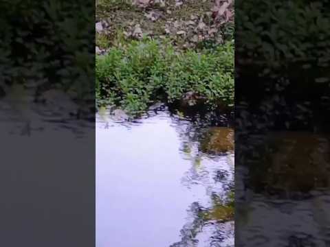 Río Dolores en San Estèban, Punilla, Córdoba, Argentina.#sanesteban