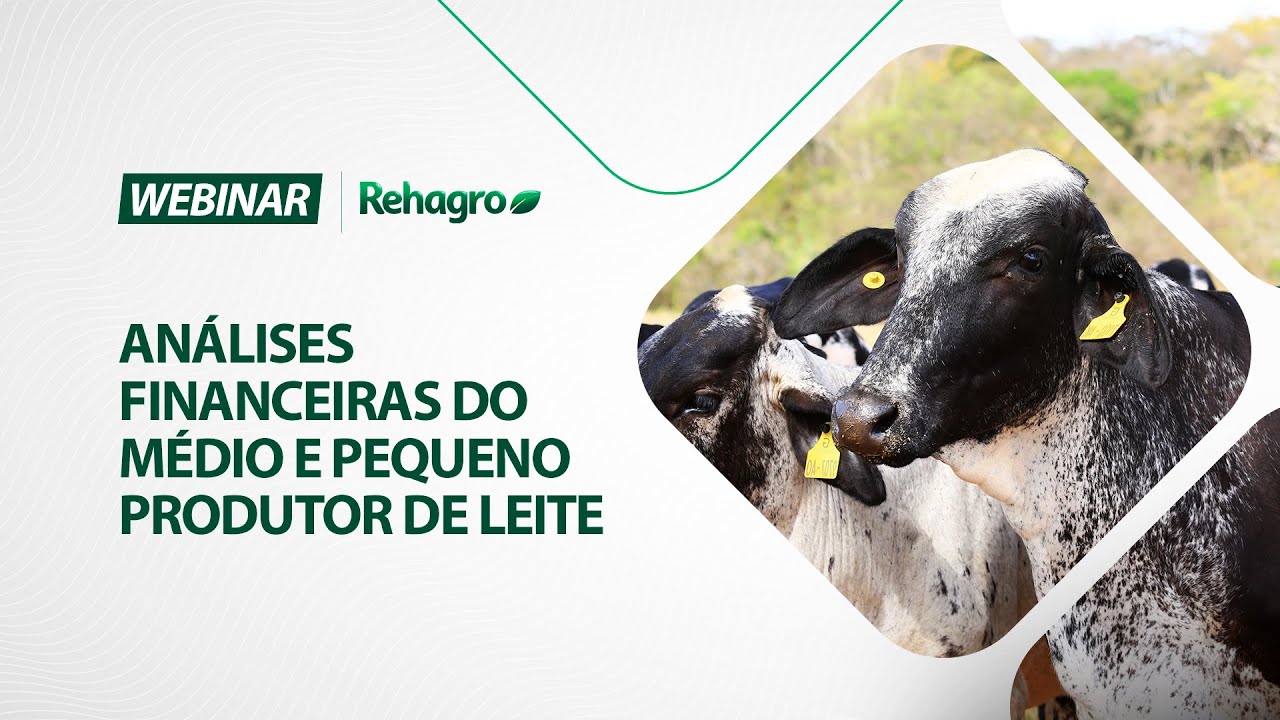Análises financeiras do médio e pequeno produtor de leite | Webinar Leite