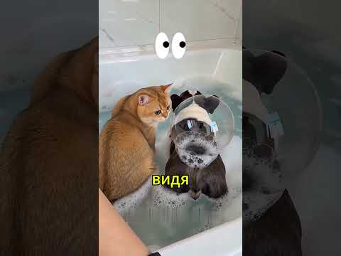 Каква е тази миризма!? 😷