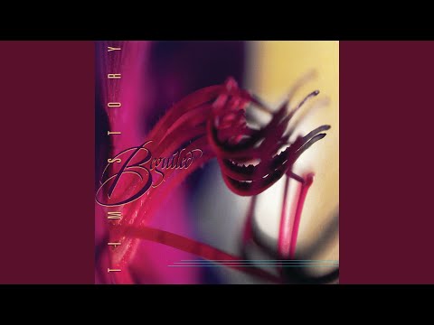 The Luminous, the Dark