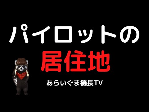 パイロットケージ - 定義