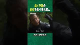 #shorts 鼻くそ味の幼虫フフ (ディスカバリーチャンネル)