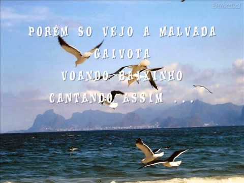 A Gaivota video