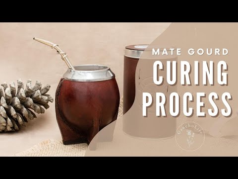 HOW TO CURE YOUR MATE GOURD? - Curing process by GauchoLife, Argentinian Style