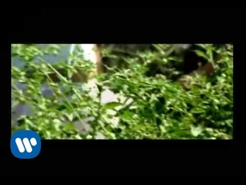 Volovan - Monitor (Video Oficial)