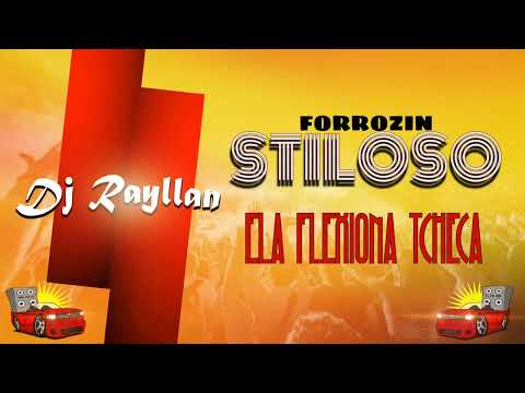 ELA FLEXIONA A TCHECA FORROZINHO | MC GW - DJ RAYLLAN
