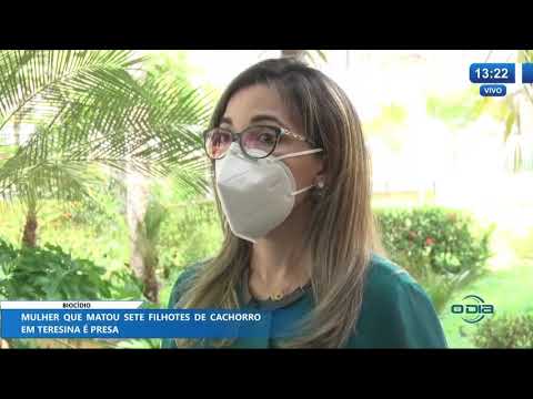 Mulher mata 7 cachorros e é a primeira condenada no Piauí pelo crime de Biocídio 10 11 2020