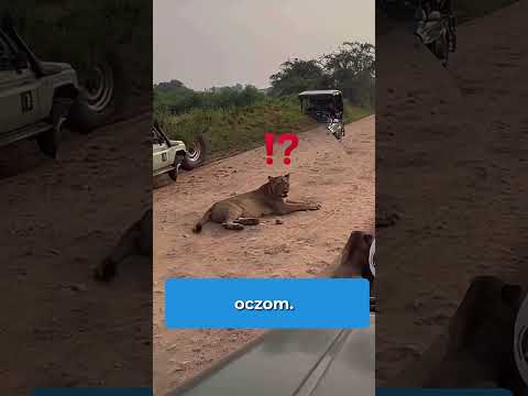 TOP 4 Ludzi, Którzy Znaleźli Się O Wiele Za Blisko Niebezpieczeństwa #shorts