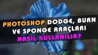 Photoshop Dodge Tool Ne İşe Yarar? Burn Nasıl Yapılır? Photoshop Sponge Nasıl Kullanılır? | 36. Ders