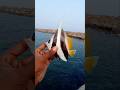 Lucky Expensive 10 Aquarium Color Fish Catch Fishing Fishingvideos Thoondilulagam Seafishing