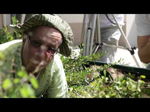 Viking Fund - Neature Nuggets