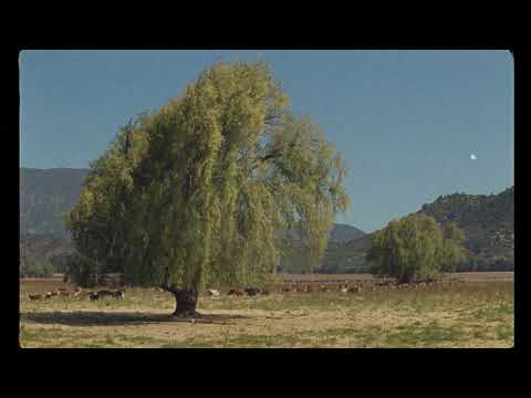 Carta al interior de una botella