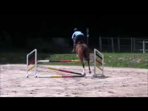 Eddie Murphy, Wallach v. Edward - As die Villagna - Quasi Roi