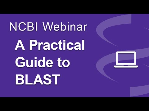 A Practical Guide to NCBI BLAST