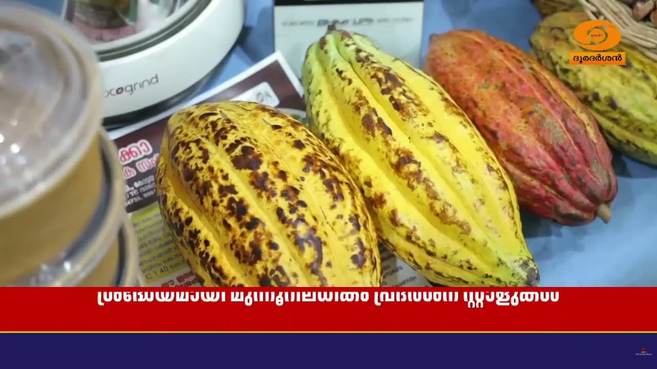 വൈഗ 2026ൽ മുന്നൂറിലധികം പ്രദർശന സ്റ്റാളുകൾ.. ഇന്ന് സമാ?