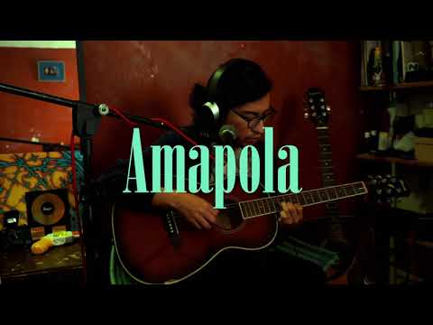 Amapola - Rafa Arreguín