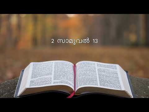 Day 131: Hope for the Future i 2 സാമുവല്‍ 13, 1 ദിനവൃത്താന്തം 17, സങ്കീര്‍ത്തനങ്ങള്‍ 35
