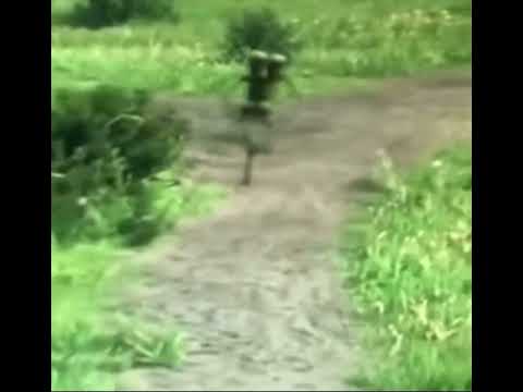 Tantos pinches idiomas  la gente solo entiende a p*tazos