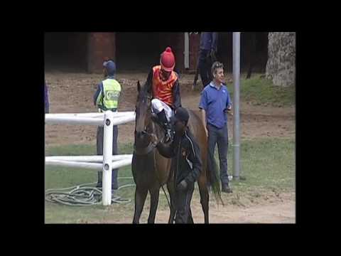 Kangaroo Jack Turffontein 8 October 2016