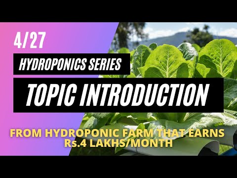 Hydroponic business for beginners | 4/27