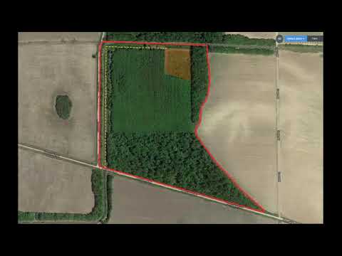 Archive 41 Video thumbnail