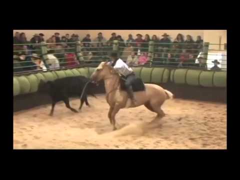 LOTE 017 ESPORA DA MAYA