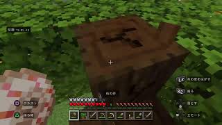 新年明けましてMinecraft！
