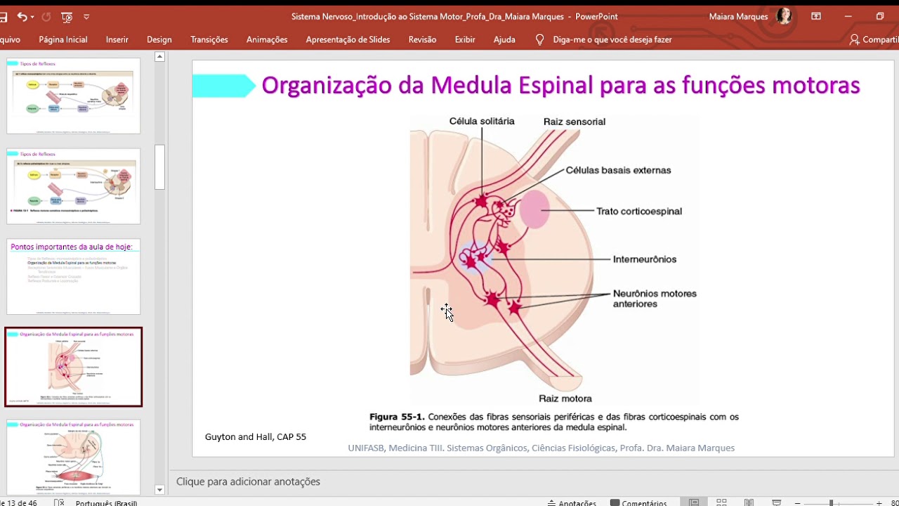 Funções Motoras da Medula Espinal - Vias Reflexas Neurais
