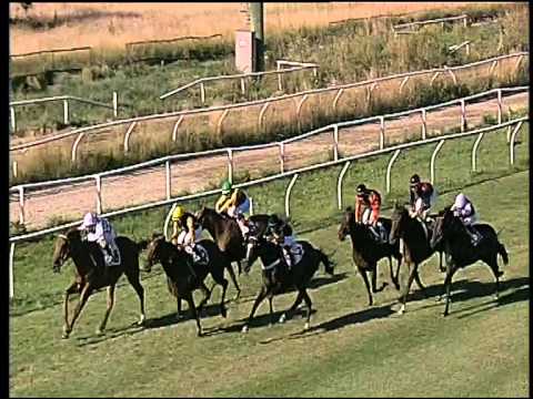 Galoppo 19/06/2015 - 4° corsa