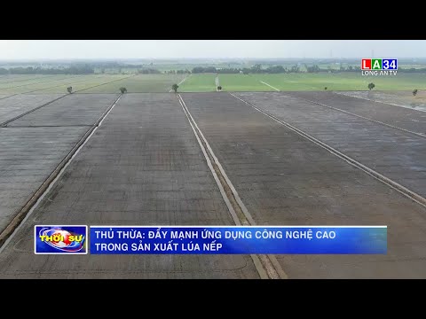 CÔNG NGHỆ CAO TRONG LÚA NẾP Ở THỦ THỪA