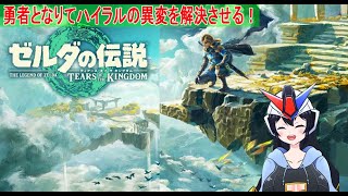 switch２で今度は再びティアキンへ！パート４（ゼルダの伝説 ティアーズ オブ ザ キングダム）