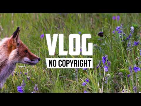 Ikson - Last Summer (Vlog No Copyright Music) Video