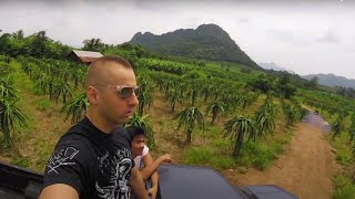 Thailand Rubber Plantation 🇹🇭