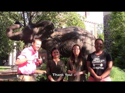 Investigation of Electrospun Polymer Membranes for Filtration