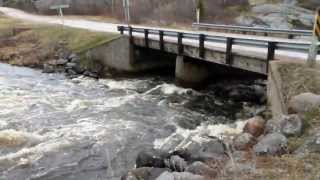 preview picture of video 'Whiteshell River, May  2013'