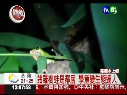 與保育樹蛙為鄰 學童探索大自然