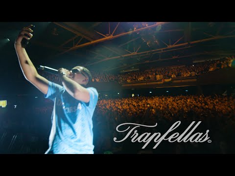 Toujour - Blau Weißer Carlo