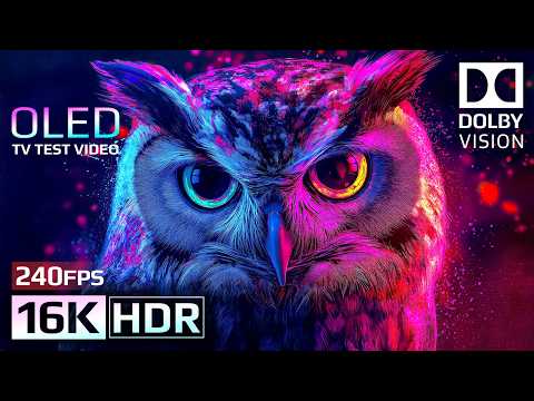 Stunning World in 16K HDR 240fps | Dolby Vision OLED (8K/4K TV Test)