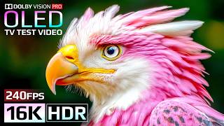 Download lagu Stunning World in 16K HDR 240fps | Dolby Vision OLED (8K/4K TV Test) mp3