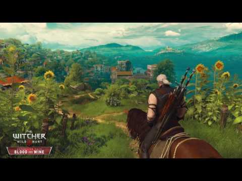 The Witcher 3 Blood and Wine: Dialog Background / Funeral ost