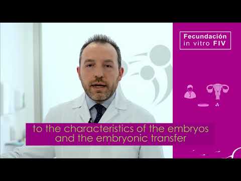 FIV Marbella (ENG) | IVF