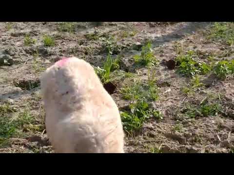 Bhed Bhav Ka Janamdin - | भेद भाव का जन्मदिन