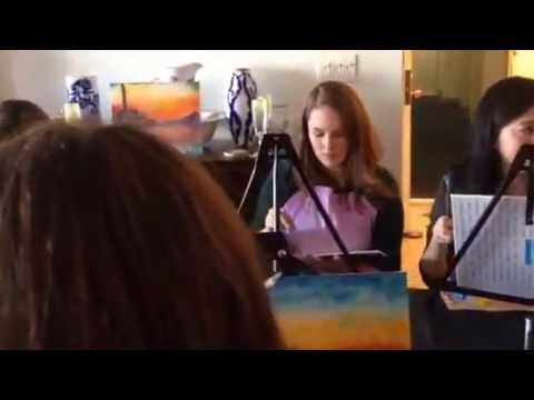 Promotional video thumbnail 2 for StelnikArt Soiree