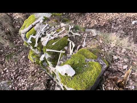 Offerkult i Täby? Hedningar?