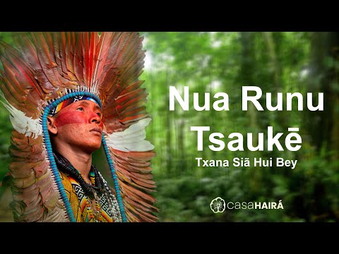 Nua Runu Tsaukē - Txana Siã Hui Bey - Grupo Kayawei - Huni Kuin - Casa Hairá - Ayahuasca