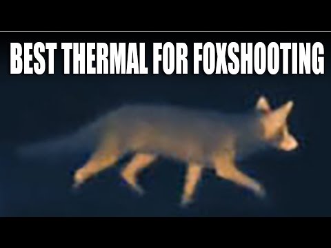 Best thermal imager for foxshooting