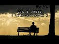 Dil E Umeed Tora Hai Kisi Ne ( Lyrical Video ) | Lyrics in urdu/hindi | Lyrical World
